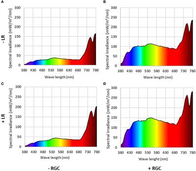 Vineyard light manipulation and silicon enhance ethylene-induced anthocyanin accumulation in red table grapes